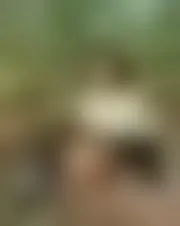 Foto de lavilaa