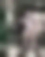 Foto di evelynestephania