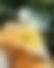 Foto van lachance2021