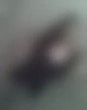 Foto de cynthia27