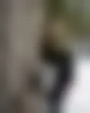 Foto van helenebouvet01