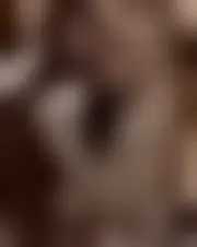 Foto van alice582