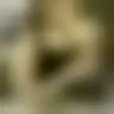 Charla con agathedisdonc