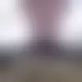 Chatten mit  aral64448
