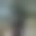 Reden mit ceo-mvp69