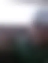 Chatea con charlicqzarez35365gggjkjj y solteros hombres en Granja San Juan (Granja Porcicultora del Humaya)