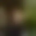 Bespreken met gustavomaia