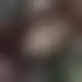 Chat with j4506