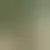 Profil von jenna23