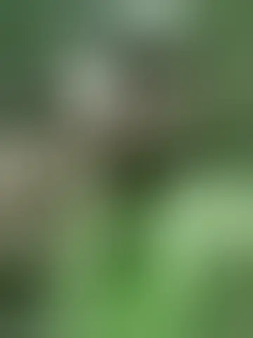 Contact jhnnywad and singles women in pennside Chat with jhnnywad and singles men in pennside