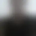 Discutir con jose645178
