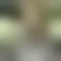Discutir con leuhetael56013