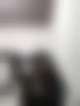 Bate-papo com lilym31207 e mulheres solteiras no Cortume