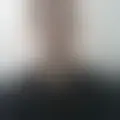 Reden mit marcos_sc