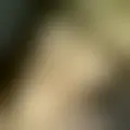 Chatten mit  marie-sophie_19