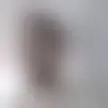 Reden mit mau_rice