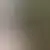Profile of mophomee82884