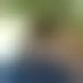 Chat with shepherdlouisiana