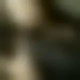 Chatten Sie mit skypie88