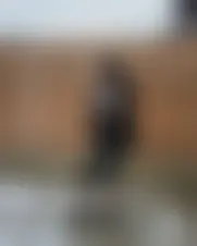 Foto von lafolie455