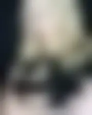 Foto di lisa11049