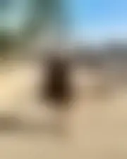Foto van pauline88