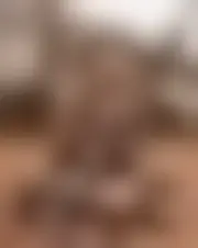 Foto von prunelle2076