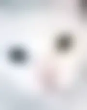 Foto de reliel99499