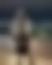Foto de groscoeur22