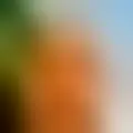 Discuter avec abadres70374