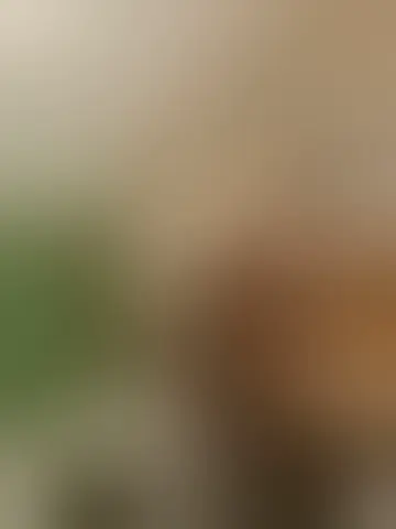 Chat with agalech2672 and singles men in nelsonville