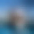Chatten mit  agalefius91319
