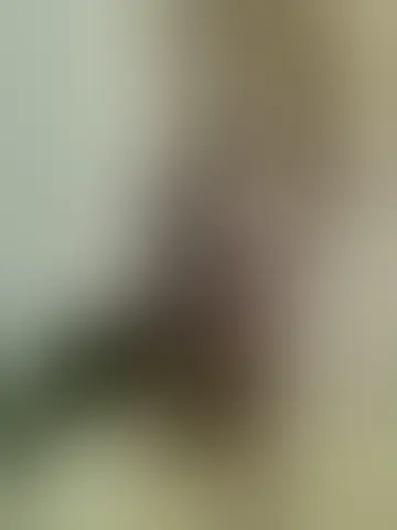 Bate-papo com agazias77725 e homens solteiras no  mincaria