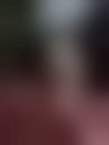Photo of alea6988