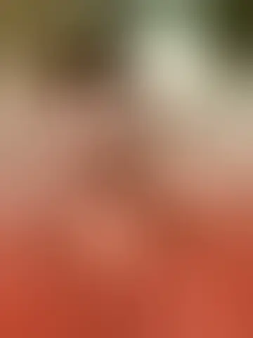 Contacter alex34m
