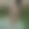 Reden mit antoni1212