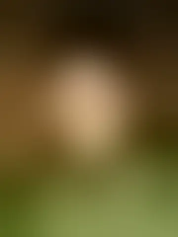 Discutez avec ben4947 et des hommes célibataires vers Carvin