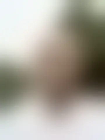 Foto van biteme420