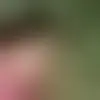 Chat with clayswindler and singles near Washington