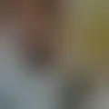 Discuter avec cozmo