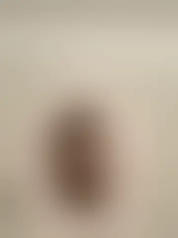 Chat with dagoberto and singles men in washington