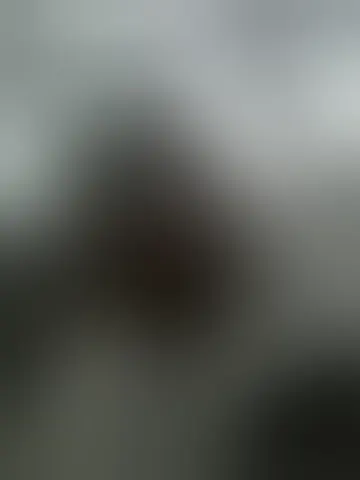 Chat with dall246 and singles men in colonia juarez