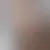 Profil av elodiebi