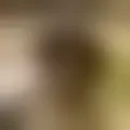 Reden mit jahmere