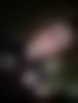 Foto de Jhonbeck87