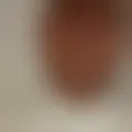 Discuter avec kingcock