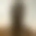 Discutere con laulahaiah49769