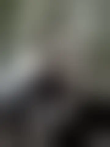 Photo of leuchifer80