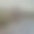 Chat with  luispessekdp