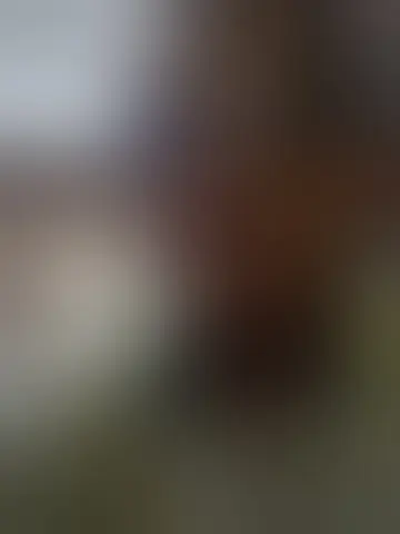 Chat with mazaiah97805 and singles men in washington